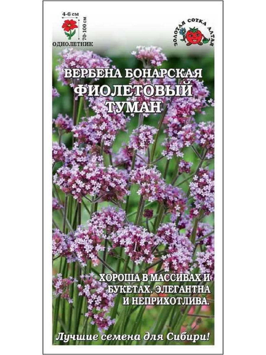 Купить Семена Вербены Бонарской В Интернет Магазине