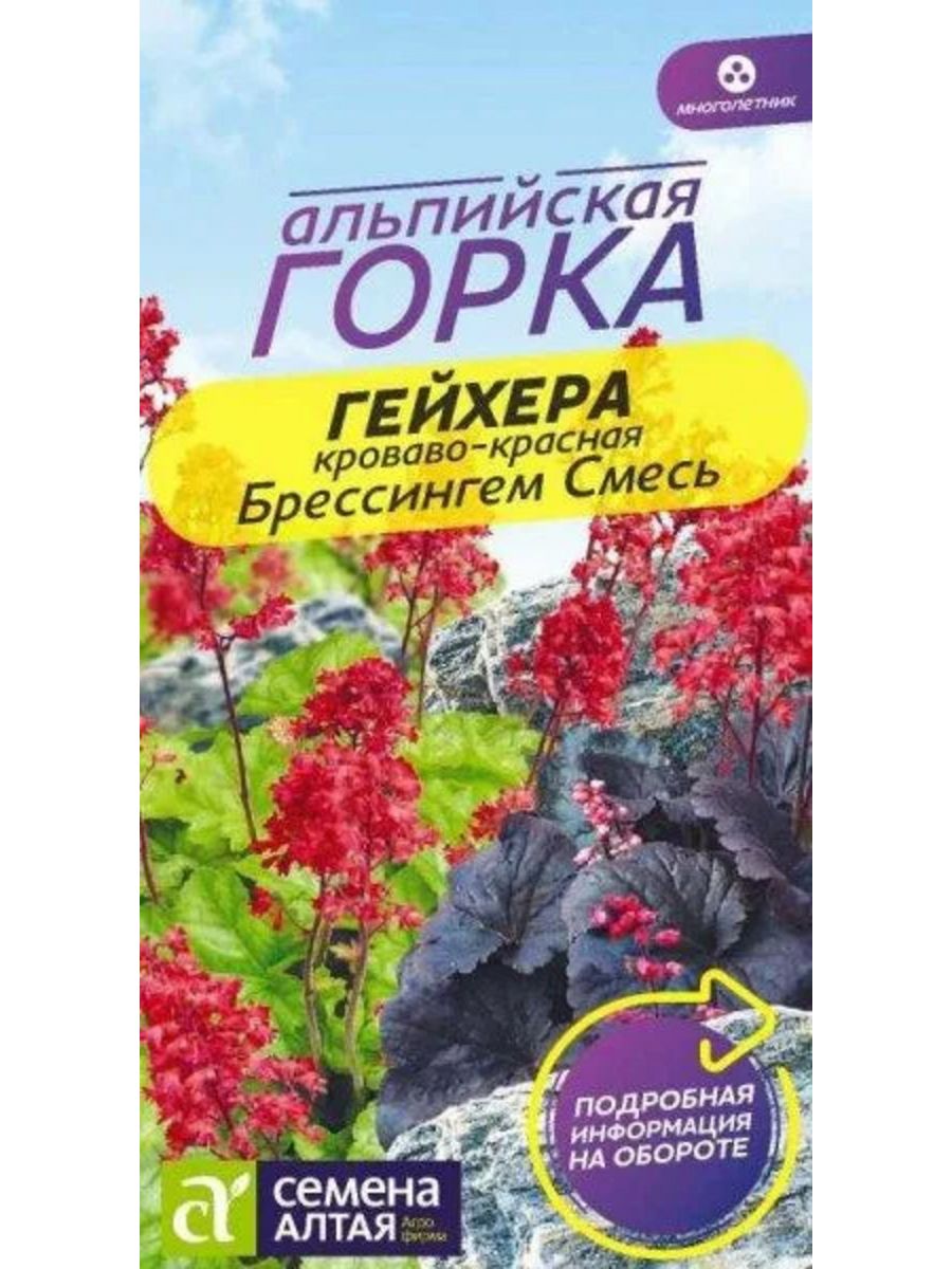 Интернет магазин гейхера семена. Гейхера кроваво красная Брессингем смесь. Гейхера гибридная `Bressingham Hybrids`. Гейхера красная кроваво-красная. Гейхера кроваво-красная Брессингем.