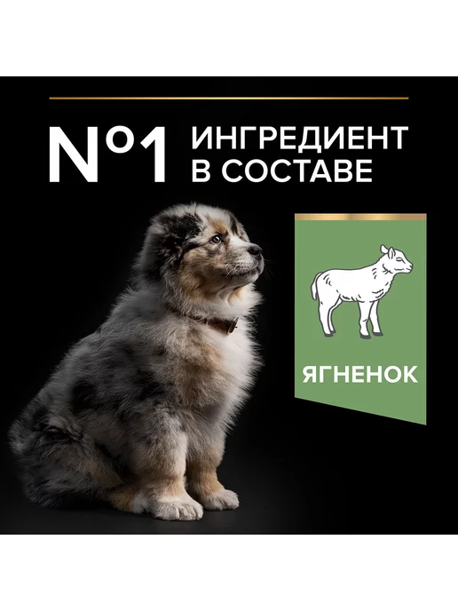 Сухой корм PRO PLAN для собак, средние, щенки, ягненок, 1,5 кг, фото 6