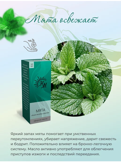Натуральные Масла Набор эфирных масел Травяной микс, 50 мл, фото 3