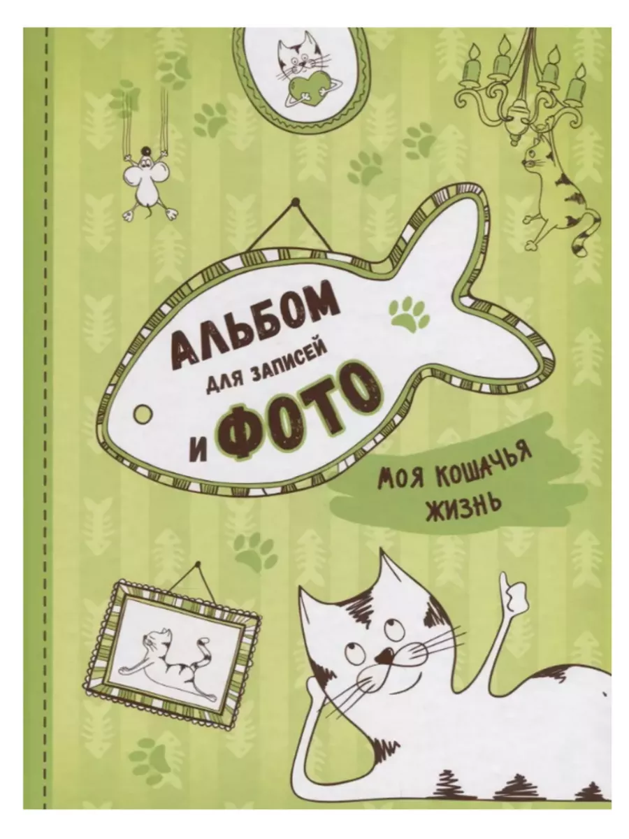 Вещи моего кота. Вещи моего кота