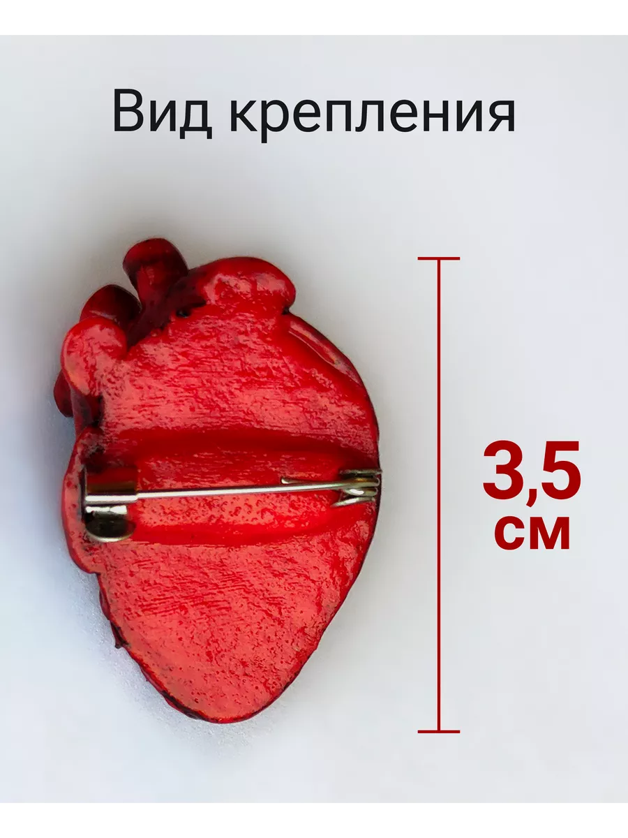 Разобран анатомическая модель сердца человека анатомия медицинский обучающий инструмент