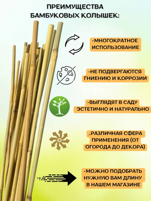 Бамбук Колышки опоры для растений и цветов 120см, 30шт, 30 шт, фото 3
