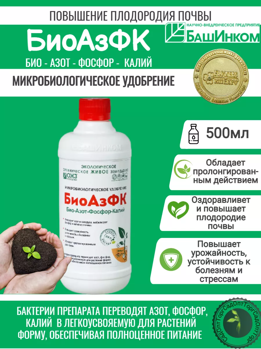 Башинком интернет. Башинком интернет