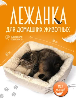 Лежанка пушистая для кошек и собак , Мокко Хвостел 33412700 купить за 838 ₽ в интернет-магазине Wildberries