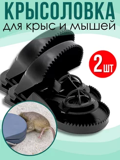 Крысоловка ловушка для крыс большая пластиковая - 2 шт Mr. Mouse 214238145 купить за 263 ₽ в интернет-магазине Wildberries