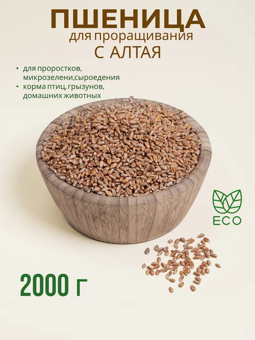 АЛТАЙСКИЙ КРАЙ Пшеница Алтайская зерно 2кг, 2 кг
