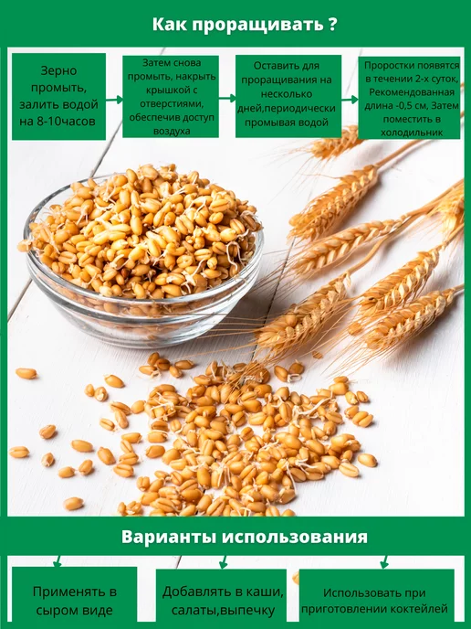 АЛТАЙСКИЙ КРАЙ Пшеница Алтайская зерно 2кг, 2 кг, фото 2
