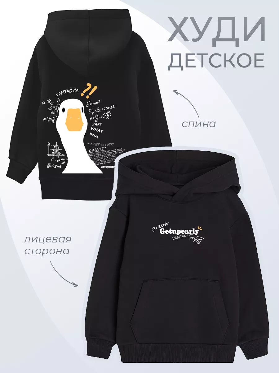Детское худи Гусь Формулы Наука Животные Оверсайз