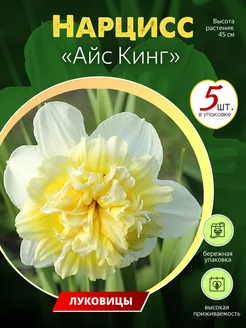 Нарцисс Айс Кинг (5шт) луковицы Пышный Сад 214418965 купить за 290 ₽ в интернет-магазине Wildberries