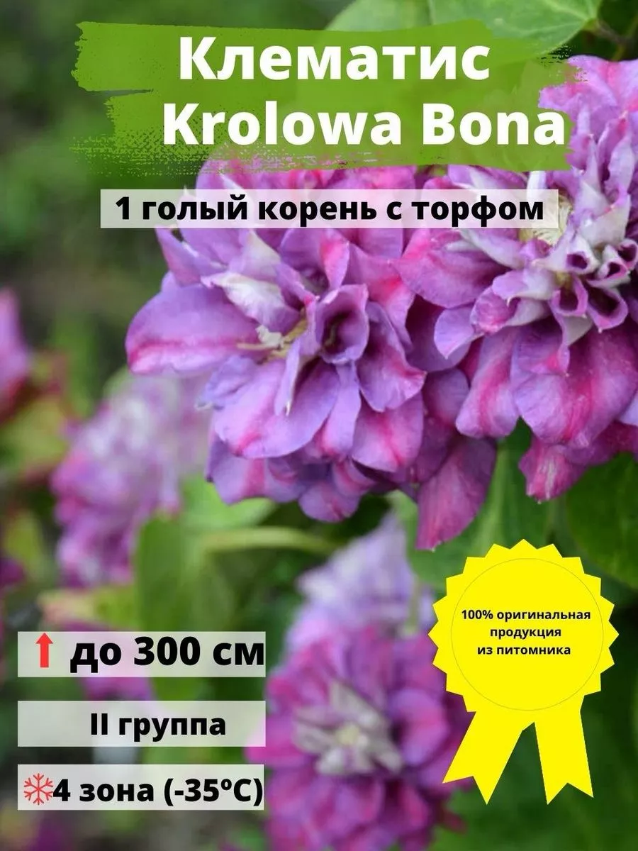 Экс-солист группы «Корни» показал дочь и жену, которая старше его на 14 лет