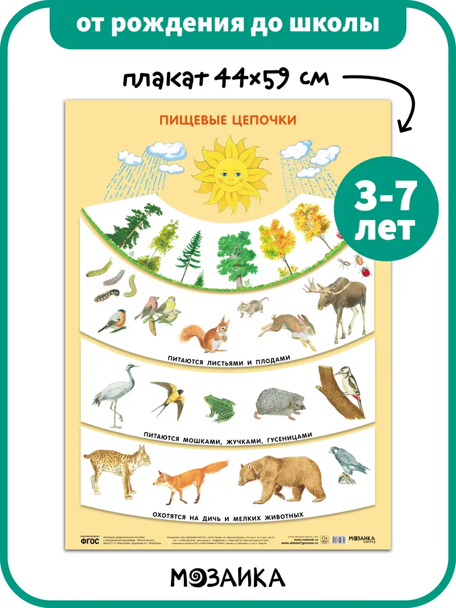 Развивающий плакат для детей в детский сад, экология 3+