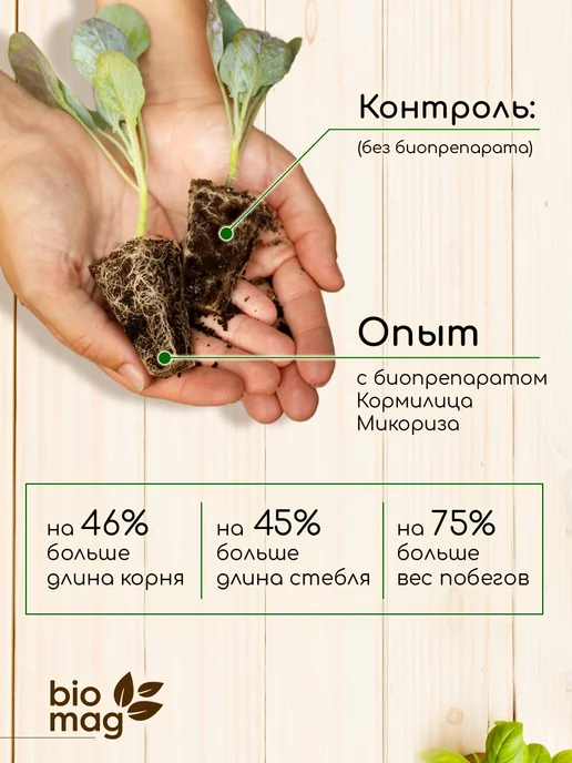 БашИнком Микориза для корней универсальная 10л, 10 л, фото 3