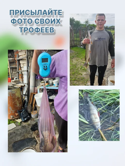 МНОГОРЫБ Оснастка для ловли на живца скользящая, белый, фото 5