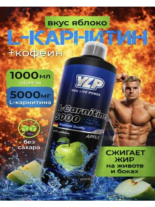 l carnitine  Maximum L-Carnitine / Alfa Vitamins  Alfa Vitamins Store