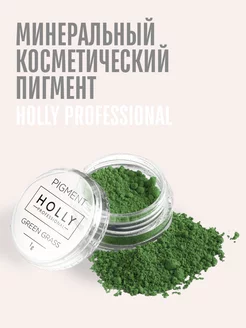 Минеральный пигмент для макияжа глаз Holly Professional 214509408 купить за 179 ₽ в интернет-магазине Wildberries