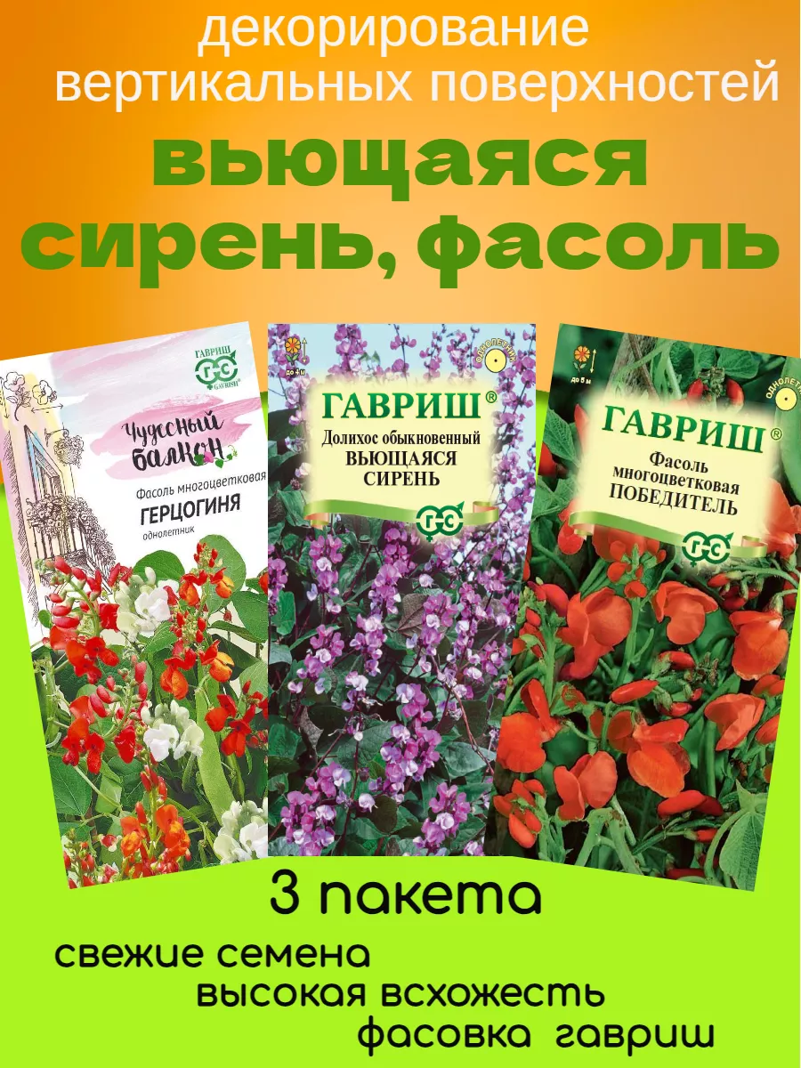 Долихос, фасоль декоративная семена вьющиеся цветы 3 пакета Гавриш  214524231 купить за 310 ₽ в интернет-магазине Wildberries