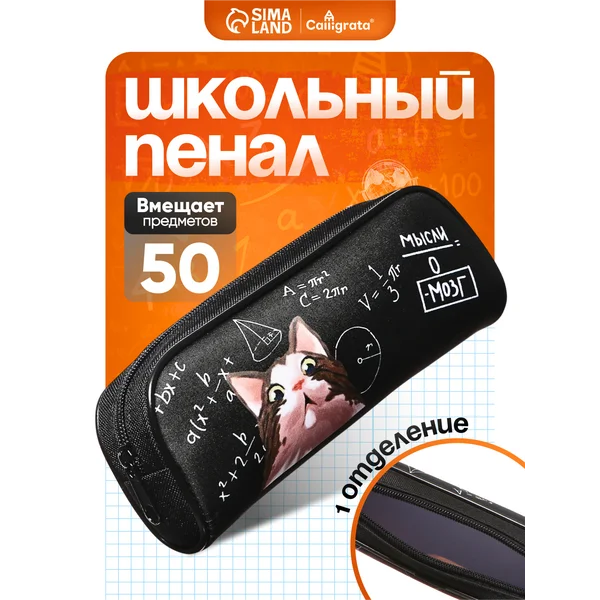 Пенал школьный Кот