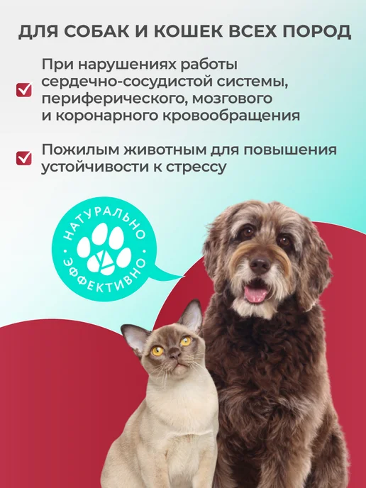veda Комплекс фитоминов для пожилых собак и кошек 200 шт, 200 шт, фото 2