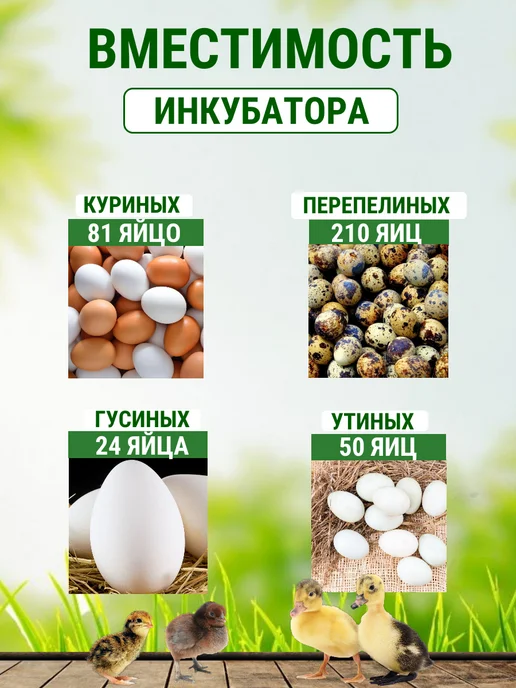Подворье Инкубатор Норма Луппер с аллюминиевым лотком, белый, фото 2