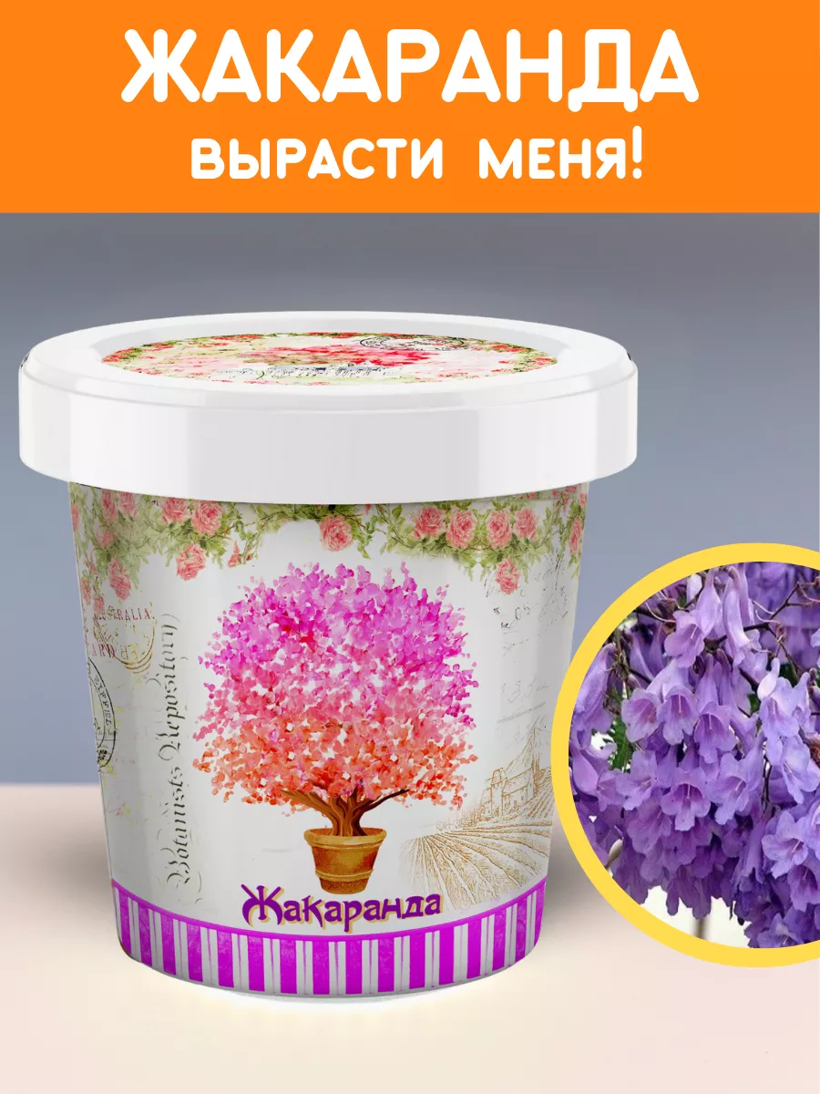 Набор для выращивания растений Вырасти сам дерево Жакаранда