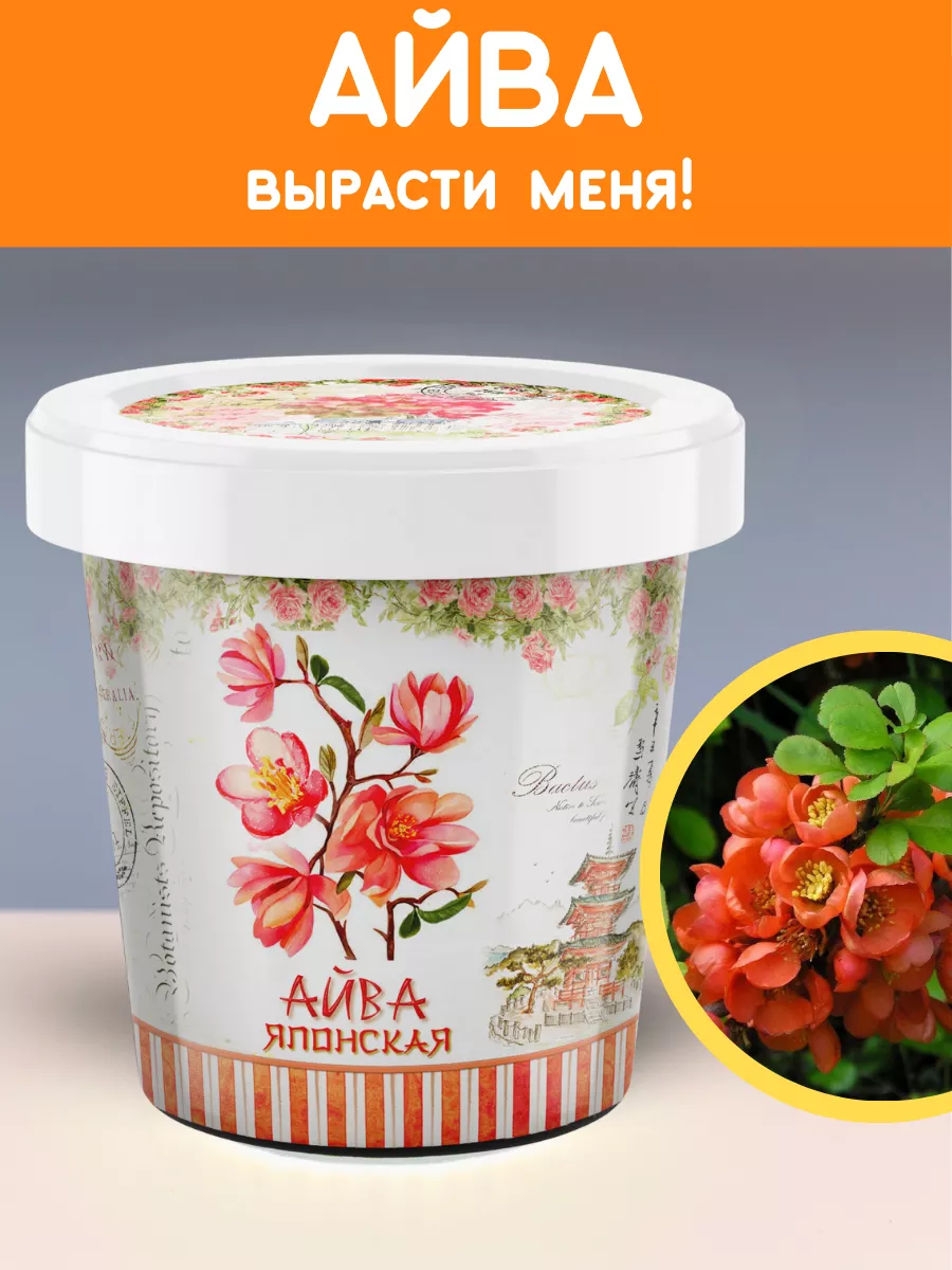 Набор для выращивания растений Вырасти сам Айва японская
