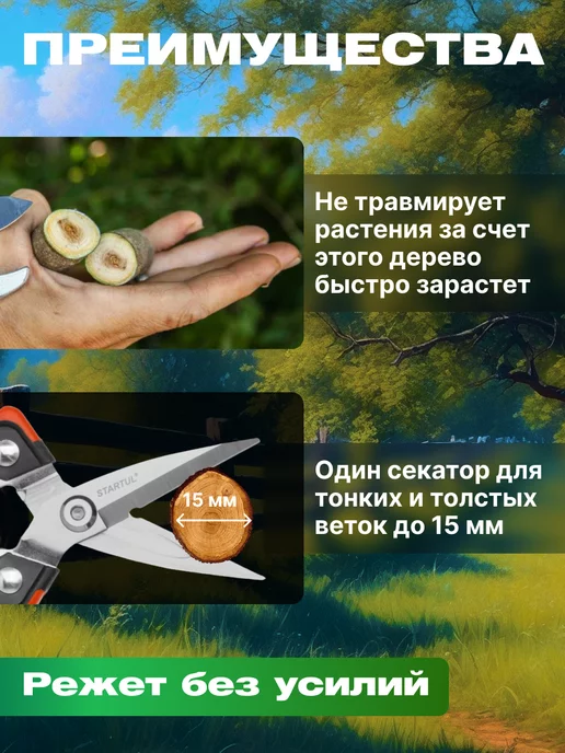 startul Секатор для сада 19 см ST6410-05, черный, фото 2