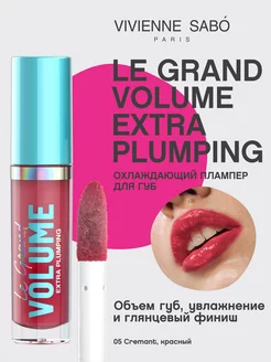 Плампер для губ Le Grand Volume Extra Plumping, тон 05, 3мл Vivienne Sabo 214923241 купить за 367 ₽ в интернет-магазине Wildberries