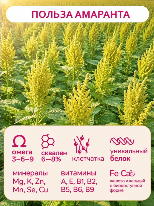 Amarancho Каша быстрого приготовления гречневая с амарантом, 10 шт, 10 шт, фото 7