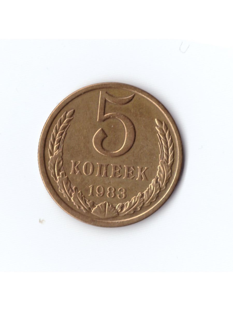 5 копеек 1984. Пол копейки 1924. 5 Копеек 1974 года. СССР 3 копейки 1989 год. 3 Копейки 1989.