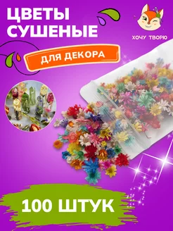 Сухоцветы для свечей и смолы Хочу Творю 214977423 купить за 288 ₽ в интернет-магазине Wildberries