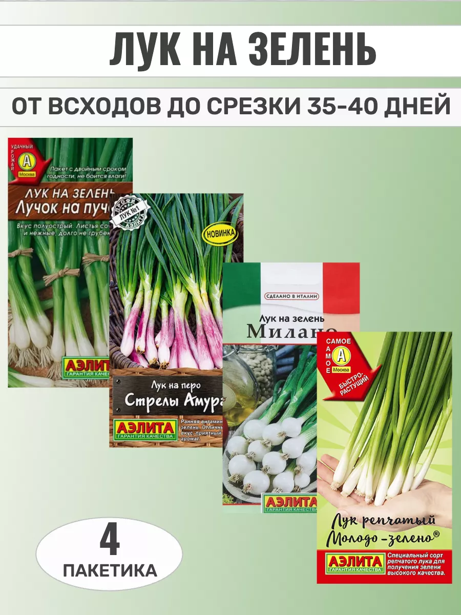 Семена лука на зелень...