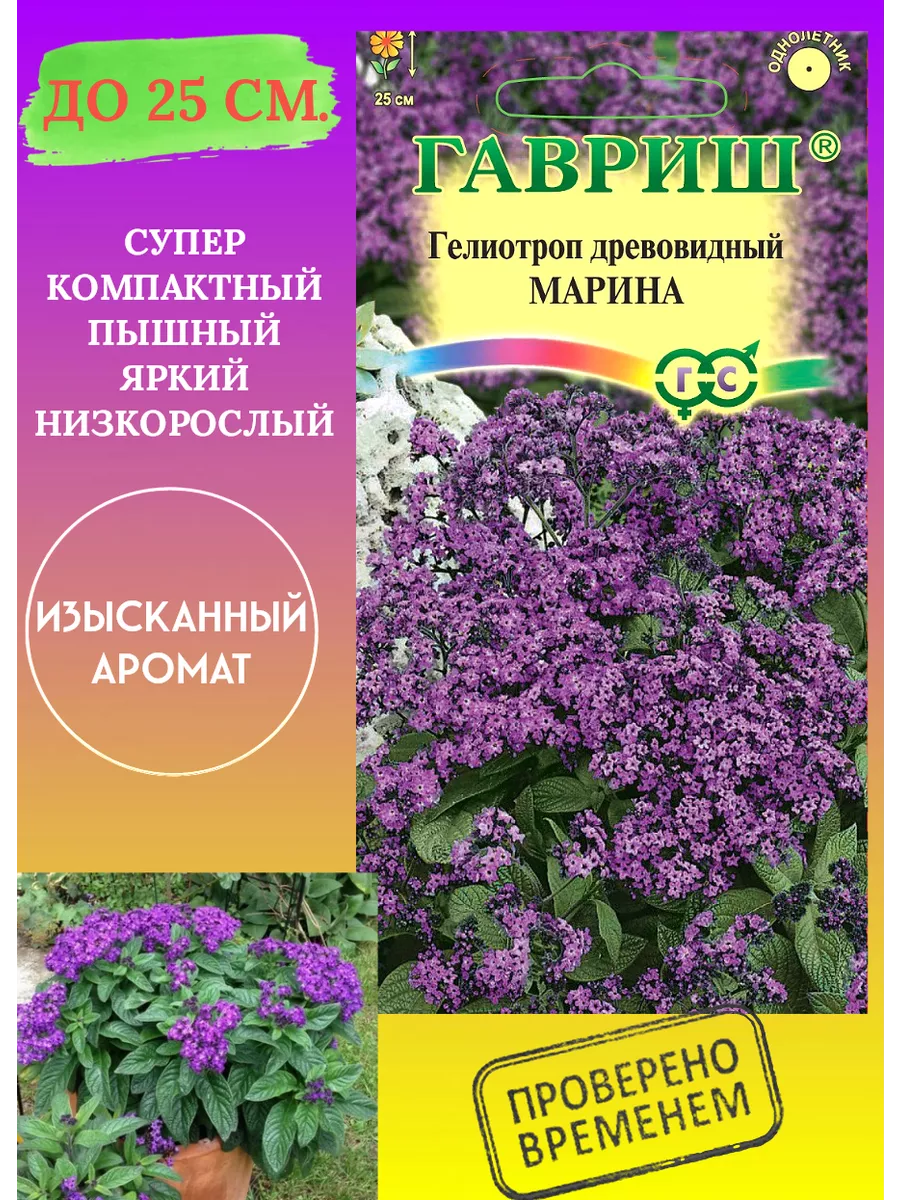 Гелиотроп Цветок Купить В Москве