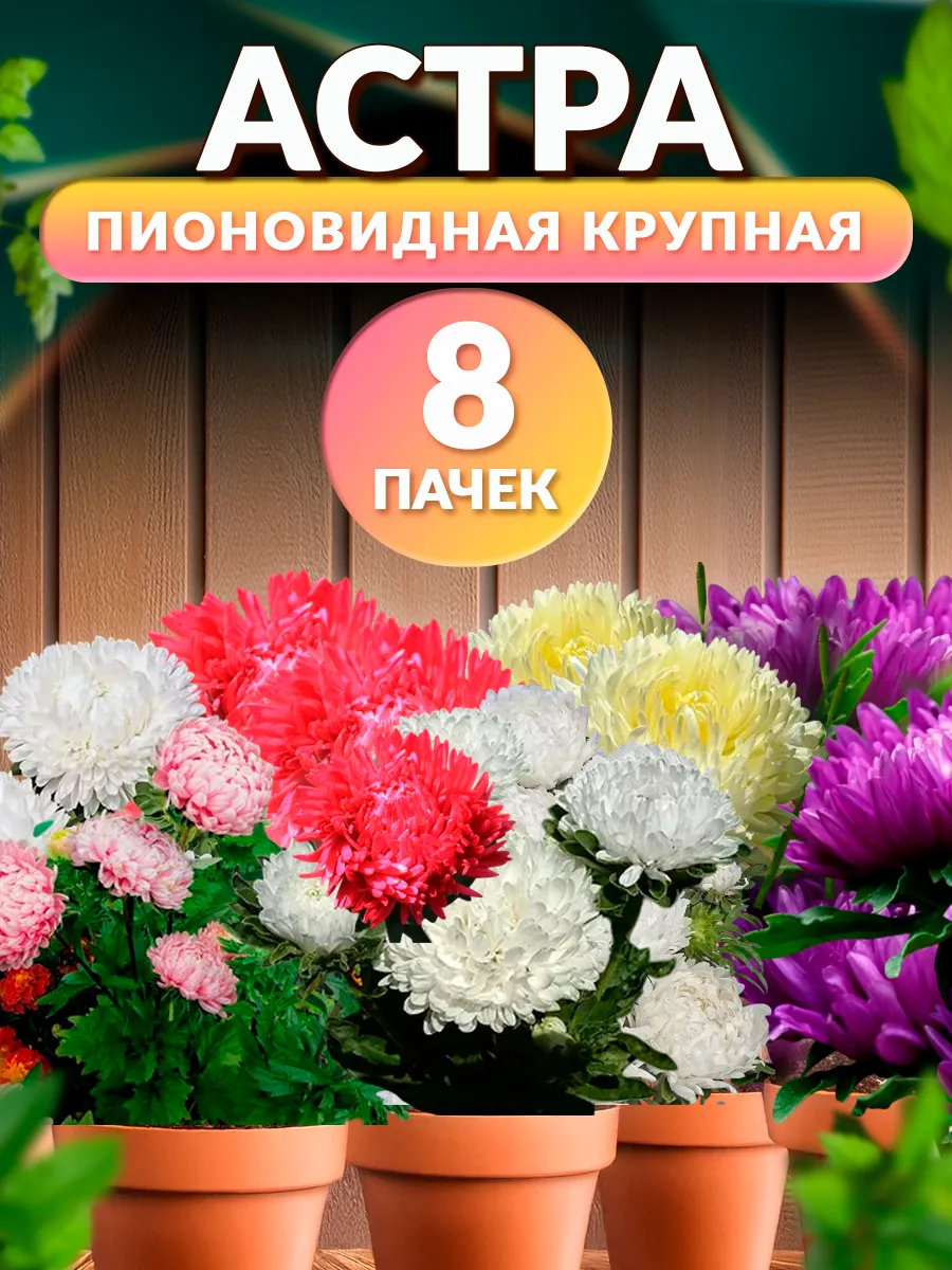 Семена Цветов Астры...