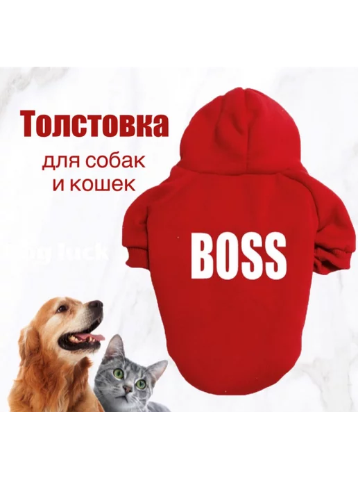 Dog luck Толстовка для собак и кошек