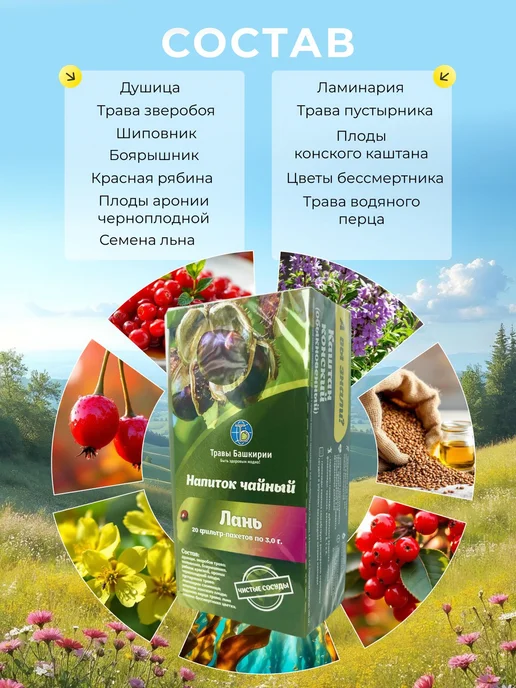 ТРАВЫ БАШКИРИИ Лань для улучшения памяти и внимания, вариант, фото 4