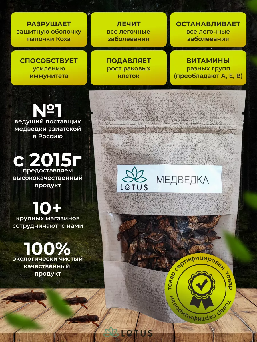 Медведка сушеная Азиатская 30г (100%natural) Lotus 215293614 купить за 800  ₽ в интернет-магазине Wildberries