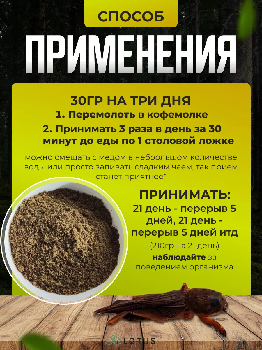 Медведка сушеная Азиатская 30г (100%natural) Lotus 215293614 купить за 800  ₽ в интернет-магазине Wildberries