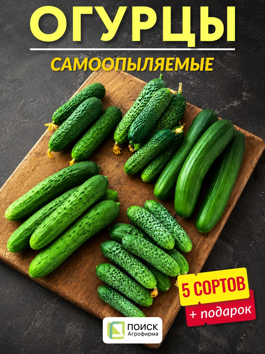 Семена огурцов самоопыляемые для теплицы