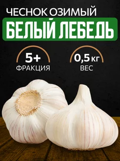 Чеснок на посадку озимый Белый лебедь 0.5кг чесночок 215319969 купить за 428 ₽ в интернет-магазине Wildberries