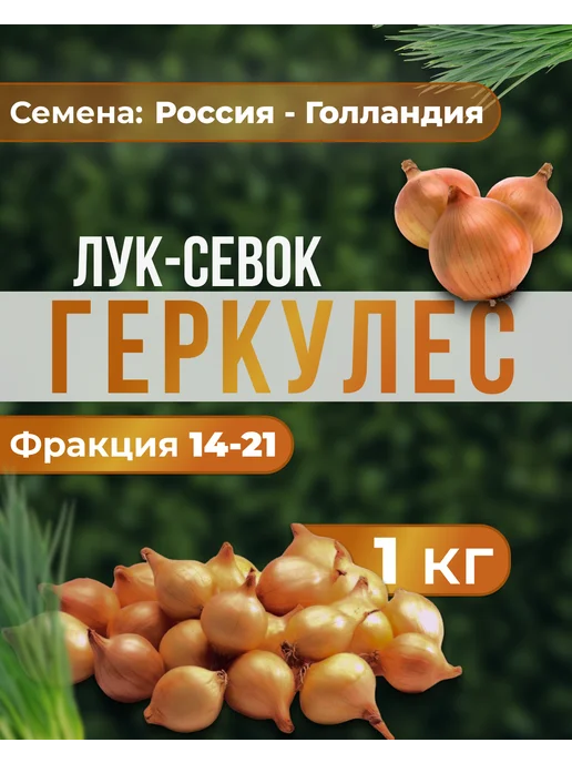 ЭкоЛук Лук севок для посадки Геркулес 1 кг, 1 кг