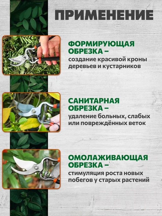 startul Секатор садовый ручной плоскостной 21см ST6410-04, вариант, фото 3