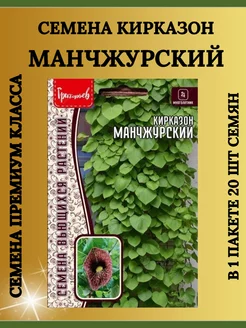 Семена Кирказон МАНЧЖУРСКИЙ-1 пакет РЕДКИЕ 215364236 купить за 128 ₽ в интернет-магазине Wildberries