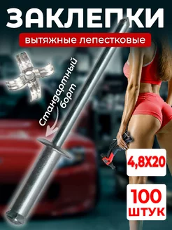 Заклепка лепестковая вытяжная 4,8х20 100 штук в наборе Klepkin 215382580 купить за 750 ₽ в интернет-магазине Wildberries