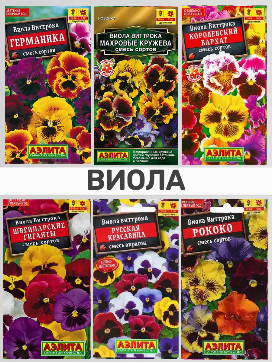 Виола семена