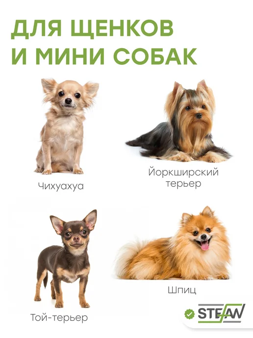 Stefan Туалет лоток для собак мелких пород с сеткой XS, серый, фото 2