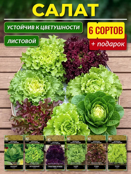 Агрохолдинг ПОИСК Семена салата листового, вариант