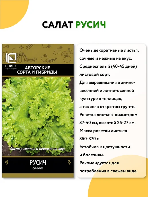 Агрохолдинг ПОИСК Семена салата листового, вариант, фото 2