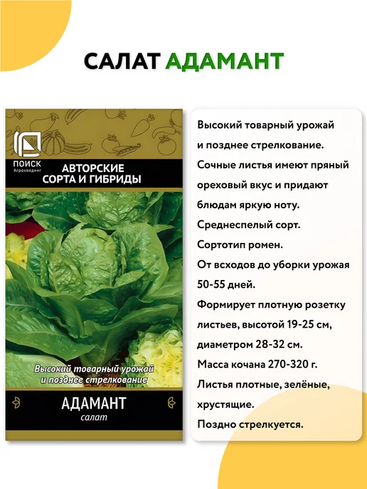 Агрохолдинг ПОИСК Семена салата листового, вариант, фото 3