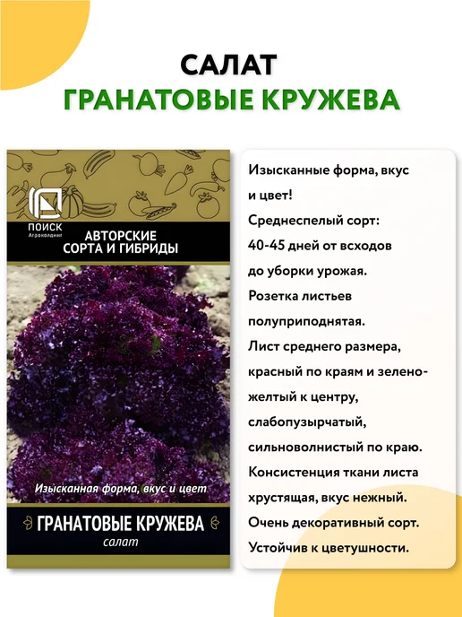 Агрохолдинг ПОИСК Семена салата листового, вариант, фото 5